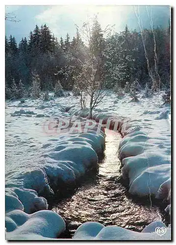 Cartes postales moderne Image de nos montagnes en hiver sur la neige et le ruisseau