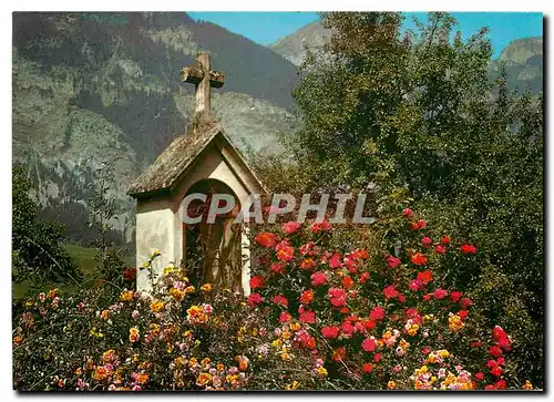 Cartes postales moderne Notre Dame des Roses