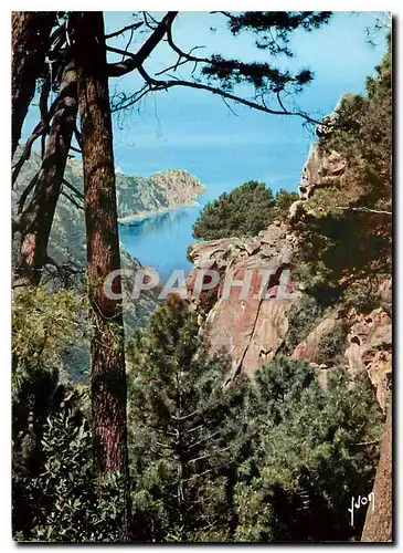 Cartes postales moderne Couleurs et Lumiere de France Les Calanques