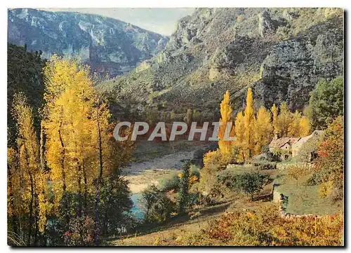 Cartes postales moderne Couleurs et Lumiere de France Une vue ds Gorges du Tarn entre la Malene et le Cirque des Baumes