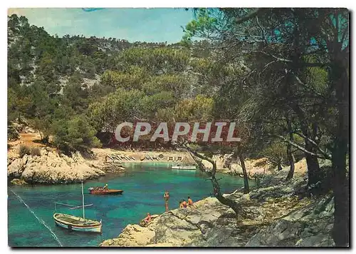 Cartes postales moderne Cassis B du Rh Calanques de Port Pin