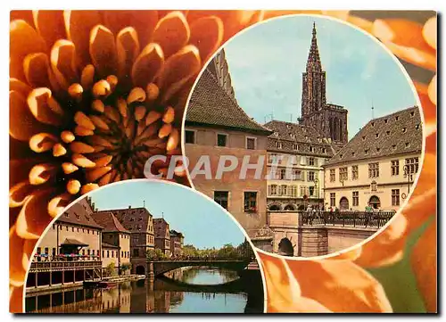 Moderne Karte Strasbourg Alsace l'Ancienne Douane Le Pont du Corbeau sur l'Ill et la Cathedrale