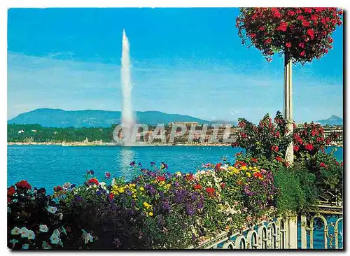 Cartes postales moderne Geneve Le Jet d'Eau