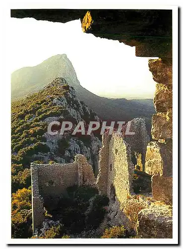 Cartes postales moderne Languedoc Le Pic Sant Loup vu du chateau de Montferrant