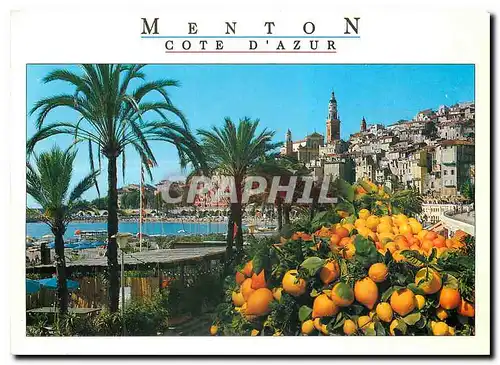 Moderne Karte Cote d'Azur French Riviera Menton Alpes Maritimes