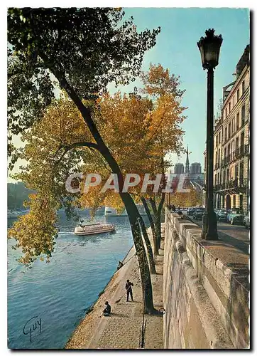 Cartes postales moderne Paris et ses Merveilles l'ile Saint Louis l'abside de la cathedrale Notre Dame