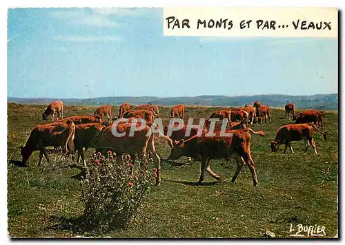 Cartes postales moderne Veaux