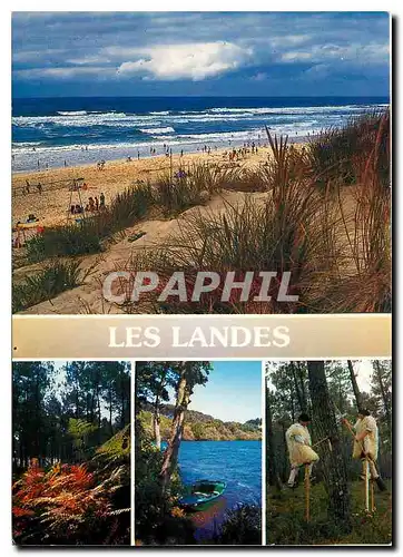 Cartes postales moderne Les Landes