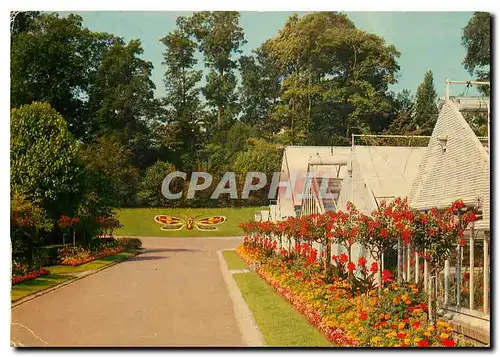 Cartes postales moderne Caen Jardin des plantes Le Papillon