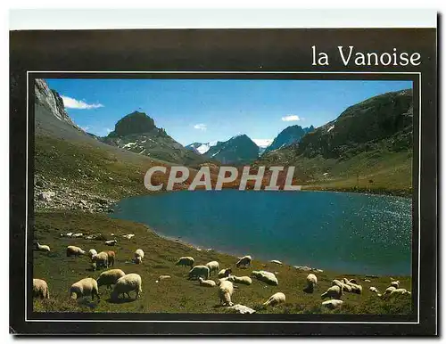 Cartes postales moderne Massif de la Vanoise Savoie Col de la Vanoise le lac Rond