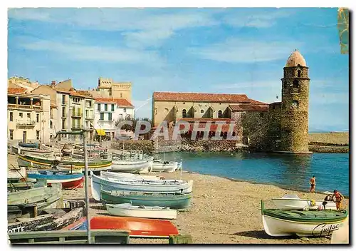 Cartes postales moderne La Cote Vermeille Collioure La plage et l'eglise Saint Vincent
