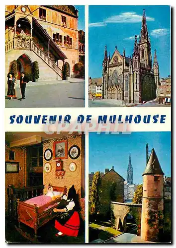 Cartes postales moderne Mulhouse Haut Rhin le