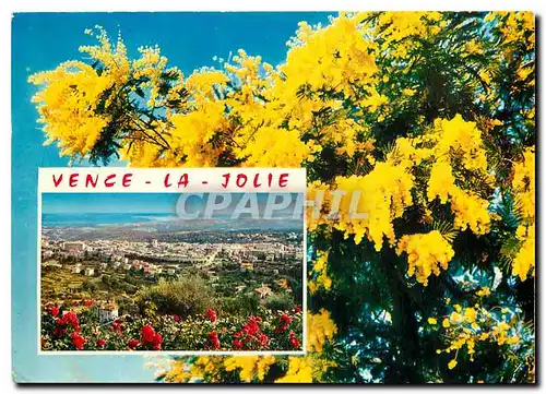 Cartes postales moderne La Cote d'Azur Souvenir de Vence la Jolie