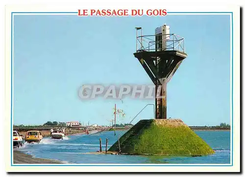 Cartes postales moderne Le Passage du Gois Vendee Ile de Noirmoutier