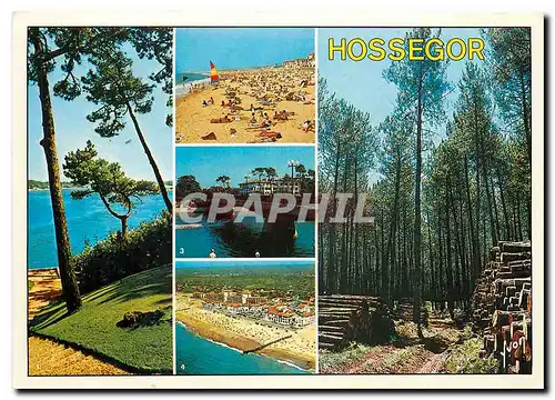 Cartes postales moderne Couleurs et Lumiere de France Hossegor Landes Echappee vers le Lac La Plage sur l'Ocean Le Pont