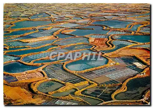 Cartes postales moderne La Bretagne en Couleurs Guerande L A La Mosaique des Marais Salants