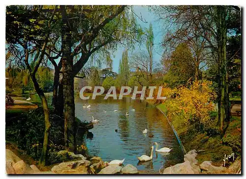 Cartes postales moderne Couleurs et Lumiere de France Paris Le Parc Montsouris