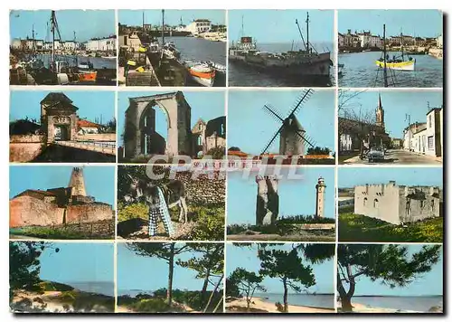 Cartes postales moderne Ile de Re Vues principales Moulin a vent Ane