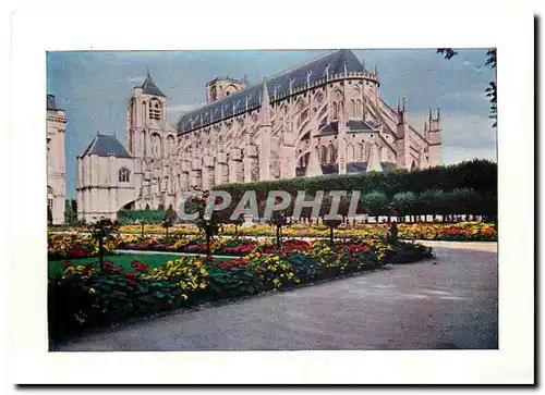 Cartes postales moderne Cathedrale de Bourges Vue du Jardin de l'Archeveche