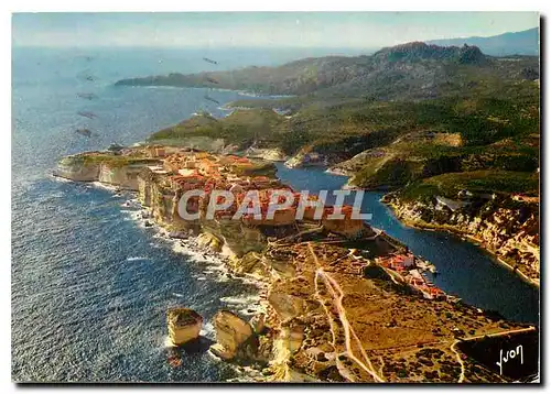 Cartes postales moderne Couleurs et Lumiere de France La Corse oasis de Beaute Bonifacio Corse Sur les Falaises