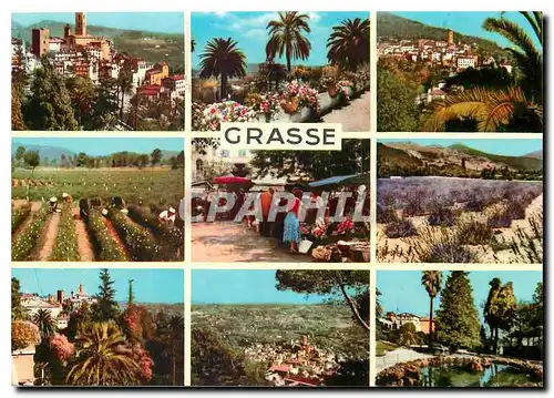 Cartes postales moderne Souvenir de Grasse