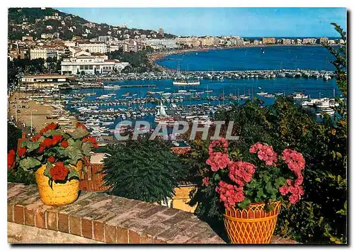 Moderne Karte La Cote d'Azur Cannes Le Port et la Croisette