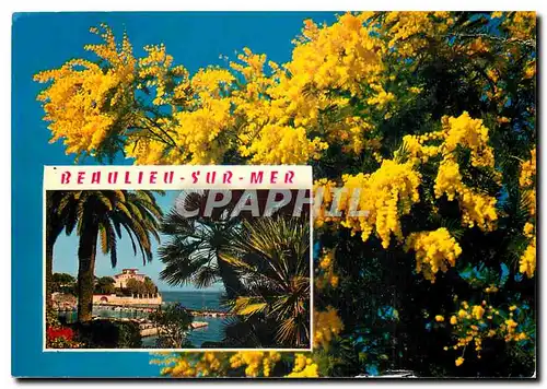 Cartes postales moderne La Cote d'Azur Beaulieu sur Mer