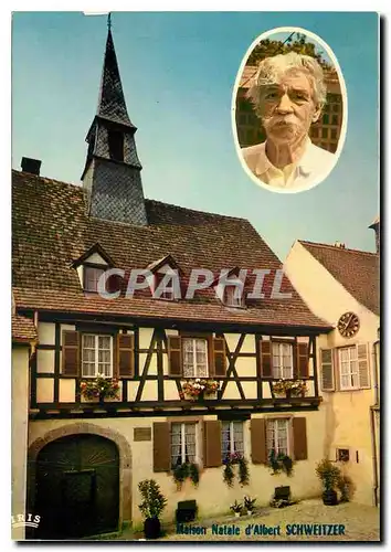 Cartes postales moderne Kaysersberg Haut Rhin Albert Schweitzer