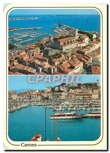 Cartes postales moderne Reflets de la Cote d'Azur Cannes Le Suquet