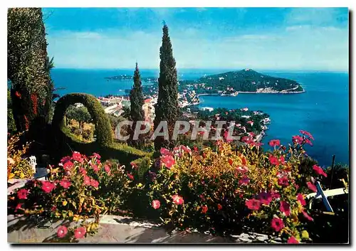 Cartes postales moderne La Cite d'Azur le Cap Ferrat