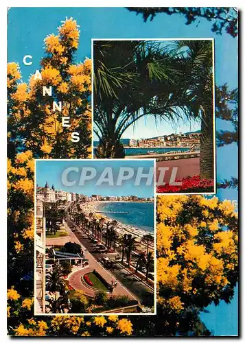Moderne Karte La Cote d'Azur Cannes A M le Quai Saint Pierre et le Suquet vus de la Croisette la Croisette et