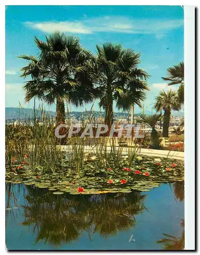 Cartes postales moderne La Cote d'Azur Cannes Jardin du Port Pierre Canto