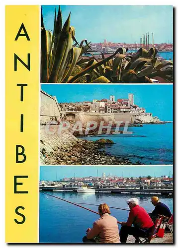 Cartes postales moderne Souvenir d'Antibes