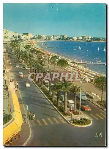 Cartes postales moderne Couleurs et Lumiere de France la Cote d'Azur miracle de la nature Cannes Alpes Maritimes la Croi