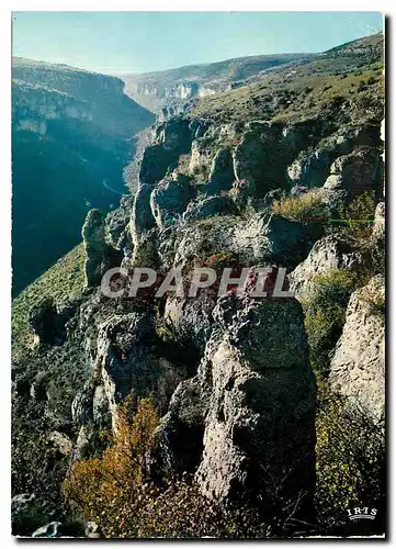 Cartes postales moderne Lozere Pittoresque Paysage des Gorges de la Jonte