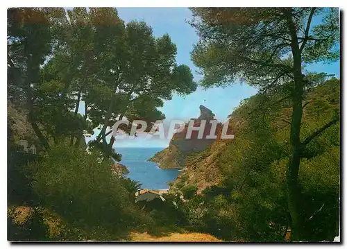 Cartes postales moderne La Cote d'Azur la Ciotat B du Rhone la Belle Calanque de Figuerolles