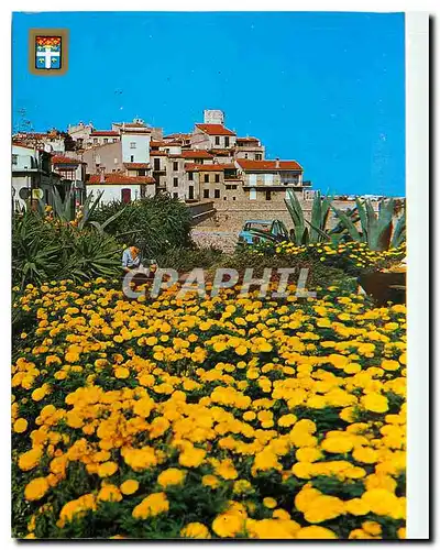 Cartes postales moderne Antibes vue sur le vieil Antibes