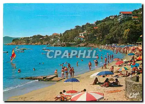 Cartes postales moderne La Cote d'Azur Varoise les Environs du Lavandou Aiguebelle Var la Plage et la Pointe de la Fosse