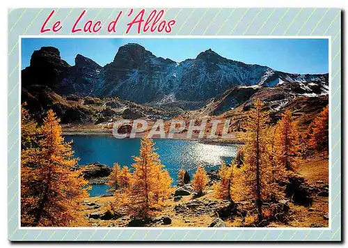 Cartes postales moderne Les Alpes de Haute Provence le Lac d'Allos Situe dans la Haute Vallee du Verdon