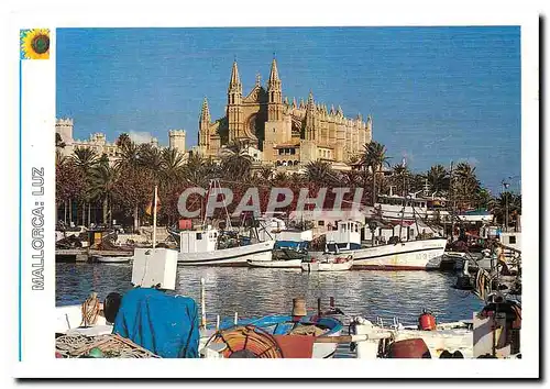 Cartes postales moderne Mallorca Luz