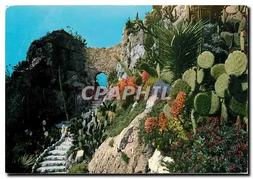 Cartes postales moderne Cote d'Azur Vieilles pierres et jardins exotiques