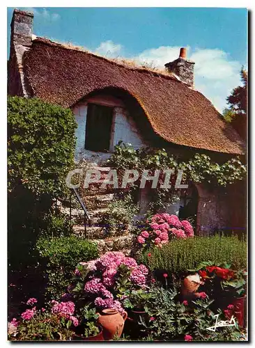 Moderne Karte Couleurs de Bretagne Chaumiere fleurie a l'ile aux Moines