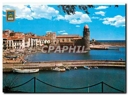 Cartes postales moderne Lumiere et Couleurs de la Cote Vermeille Collioure Celebre petit port Catalan vue sur le port et