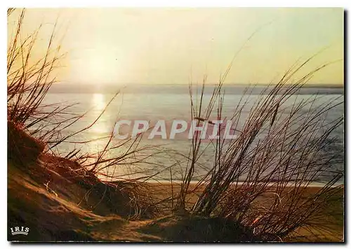 Cartes postales moderne Cote Atlantique Coucher de Soleil sur l'Ocean les Oyats