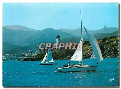 Cartes postales moderne Cote Vermeolle Port Vendres Regates virant au Phare