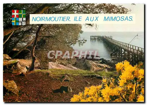 Cartes postales moderne Noirmoutier Vendee l'Estacade