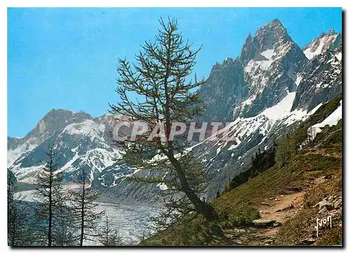 Moderne Karte Les Alpes Massif du Mont Blanc Haute Savoie la mer de glace et les grands Charmoz