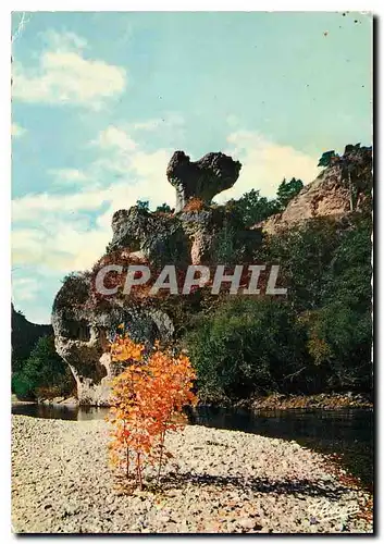 Cartes postales moderne Les Gorges du Tarn le Champignon