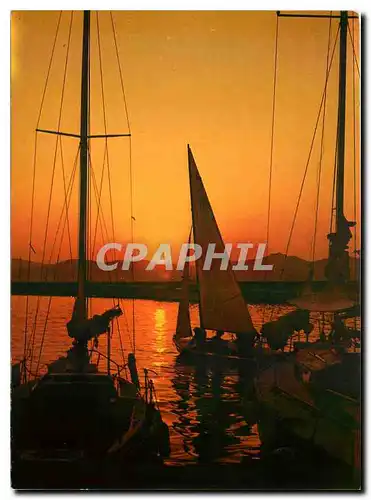 Cartes postales moderne Coucher de Soleil en mediterranee