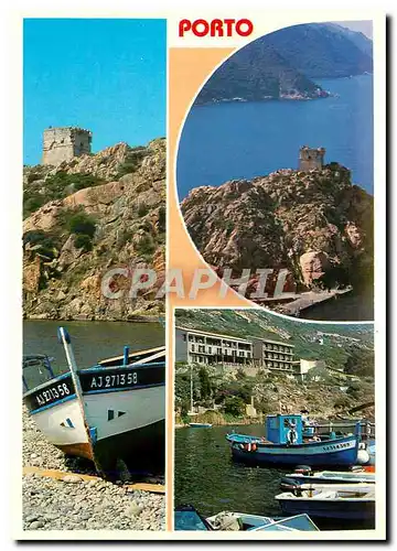 Cartes postales moderne Cors Ile d'Amour Porto et la Tour Genoise